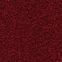 Грязезащитные покрытия Forbo Coral Bright 2603 Красный — купить в Москве в интернет-магазине Snabimport