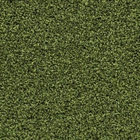 Грязезащитные покрытия Forbo Coral Bright 2608 зеленый — купить в Москве в интернет-магазине Snabimport