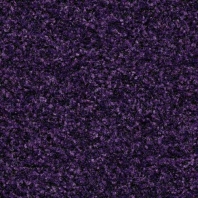 Грязезащитные покрытия Forbo Coral Brush 5709 Фиолетовый