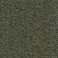 Грязезащитные покрытия Forbo Coral Classic 4758 зеленый — купить в Москве в интернет-магазине Snabimport