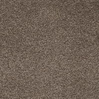 Ковровое покрытие Associated Weavers Corallina-45 коричневый — купить в Москве в интернет-магазине Snabimport