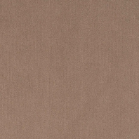 Ковровое покрытие Infloor Cosima-832 коричневый — купить в Москве в интернет-магазине Snabimport