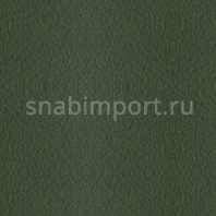 Акриловое покрытие для теннисных коротов типа хард EPI Court Supreme forest зеленый — купить в Москве в интернет-магазине Snabimport