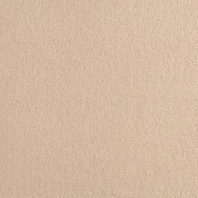 Ковровое покрытие Brintons True Velvet Cream - EV262 Бежевый — купить в Москве в интернет-магазине Snabimport