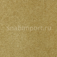 Ковровое покрытие Creatuft Sheba 1031 mosterd — купить в Москве в интернет-магазине Snabimport