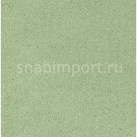 Ковровое покрытие Creatuft Sheba 1072 groen — купить в Москве в интернет-магазине Snabimport
