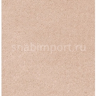Ковровое покрытие Creatuft Sheba 1184 rijstpoeder — купить в Москве в интернет-магазине Snabimport