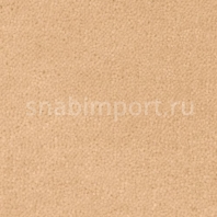 Ковровое покрытие Creatuft Sheba 1335 Franse steen — купить в Москве в интернет-магазине Snabimport