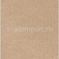 Ковровое покрытие Creatuft Sheba 1764 marone — купить в Москве в интернет-магазине Snabimport