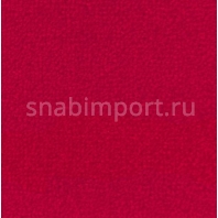 Ковровое покрытие Creatuft Sheba 1768 robijn — купить в Москве в интернет-магазине Snabimport