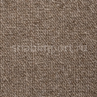 Ковровое покрытие Creatuft Torino 3498 light brown — купить в Москве в интернет-магазине Snabimport