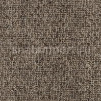 Ковровое покрытие Creatuft Windsor 8299 taupe — купить в Москве в интернет-магазине Snabimport