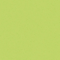 Коммерческий линолеум IVC Optimise 70 Crystal T24 зеленый