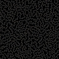 Ковер Durkan Print Glam D13293 чёрный — купить в Москве в интернет-магазине Snabimport