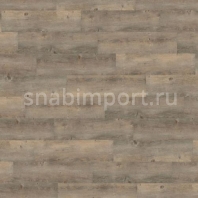 Виниловый ламинат Wineo 600 WOOD Toscany Pine Grey DB00008 коричневый — купить в Москве в интернет-магазине Snabimport