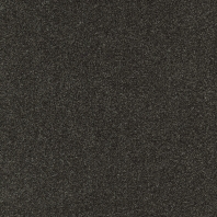 Ковровое покрытие Tapibel Diplomat-58546 чёрный — купить в Москве в интернет-магазине Snabimport