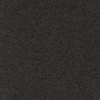 Ковровое покрытие Tapibel Diplomat-58551 чёрный