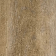 Дизайн-плитка Invictus Maximus Loose-Lay Divine Oak Cookie Бежево-коричневый — купить в Москве в интернет-магазине Snabimport