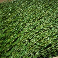 Искусственная трава для футбольных полей и игры в регби Domo Champion S pro MX зеленый