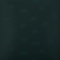 Тканые ПВХ покрытие Bolon by You Dot-black-green (рулонные покрытия) зеленый — купить в Москве в интернет-магазине Snabimport