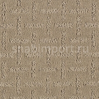Ковровое покрытие Karastan Dramatic Details Taupe Treasure — купить в Москве в интернет-магазине Snabimport
