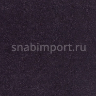 Ковровое покрытие Lano Dream (We) 90 Фиолетовый — купить в Москве в интернет-магазине Snabimport