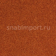 Ковровая плитка Desso Torso 7922 Оранжевый — купить в Москве в интернет-магазине Snabimport