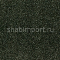 Ковровая плитка Desso Torso 8803 зеленый — купить в Москве в интернет-магазине Snabimport