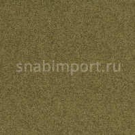 Ковровая плитка Desso Palatino 3118 зеленый — купить в Москве в интернет-магазине Snabimport