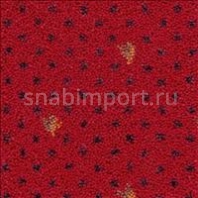 Ковровое покрытие Desso Elegance 4201-100 Красный — купить в Москве в интернет-магазине Snabimport