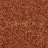 Ковровое покрытие Desso Torso T/B 5213 коричневый — купить в Москве в интернет-магазине Snabimport