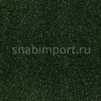 Ковровое покрытие Desso Torso T/B 7863 зеленый — купить в Москве в интернет-магазине Snabimport