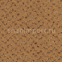 Ковровое покрытие Desso Trapez 8073-A409 коричневый — купить в Москве в интернет-магазине Snabimport
