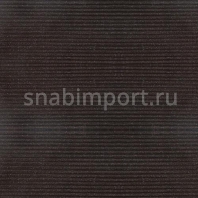 Влаговпитывающее покрытие Baltturf Двухполосный Коричневый коричневый — купить в Москве в интернет-магазине Snabimport