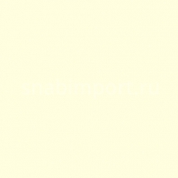 Светофильтр Rosco E-Color+ 007 Pale Yellow белый — купить в Москве в интернет-магазине Snabimport