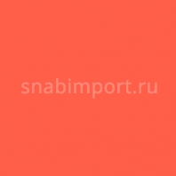 Светофильтр Rosco E-Color+ 008 Dark Salmon оранжевый — купить в Москве в интернет-магазине Snabimport