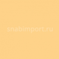 Светофильтр Rosco E-Color+ 009 Pale Amber Gold желтый — купить в Москве в интернет-магазине Snabimport