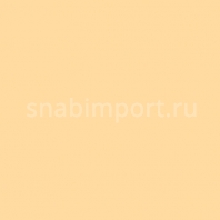 Светофильтр Rosco E-Color+ 013 Straw Tint Бежевый — купить в Москве в интернет-магазине Snabimport