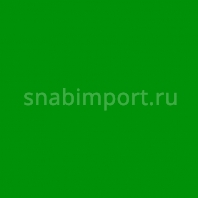 Светофильтр Rosco E-Color+ 139 Primary Green зеленый — купить в Москве в интернет-магазине Snabimport