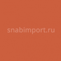 Светофильтр Rosco E-Color+ 017 Surprise Peach оранжевый — купить в Москве в интернет-магазине Snabimport