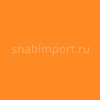 Светофильтр Rosco E-Color+ 020 Medium Amber оранжевый — купить в Москве в интернет-магазине Snabimport