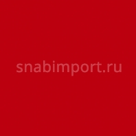 Светофильтр Rosco E-Color+ 029 Plasa Red Красный — купить в Москве в интернет-магазине Snabimport