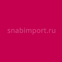 Светофильтр Rosco E-Color+ 046 Dark Magenta Красный — купить в Москве в интернет-магазине Snabimport