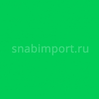 Светофильтр Rosco E-Color+ 089 Moss Green зеленый — купить в Москве в интернет-магазине Snabimport