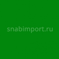 Светофильтр Rosco E-Color+ 090 Dark Yellow Green зеленый — купить в Москве в интернет-магазине Snabimport