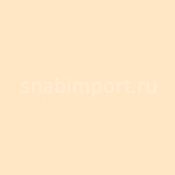Светофильтр Rosco E-Color+ 103 Straw Бежевый — купить в Москве в интернет-магазине Snabimport