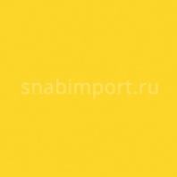 Светофильтр Rosco E-Color+ 104 Deep Amber желтый — купить в Москве в интернет-магазине Snabimport