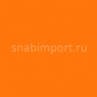 Светофильтр Rosco E-Color+ 105 Orange оранжевый — купить в Москве в интернет-магазине Snabimport