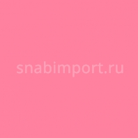 Светофильтр Rosco E-Color+ 107 Light Rose Красный — купить в Москве в интернет-магазине Snabimport