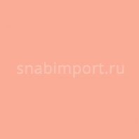 Светофильтр Rosco E-Color+ 108 English Rose Красный — купить в Москве в интернет-магазине Snabimport